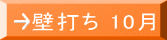 Ǒł 10