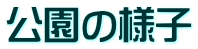 公園の様子